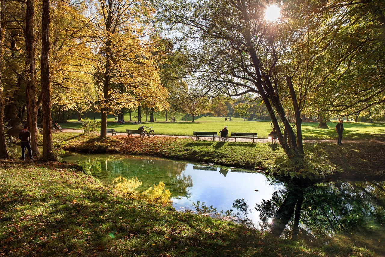 Wiese im Englischen Garten